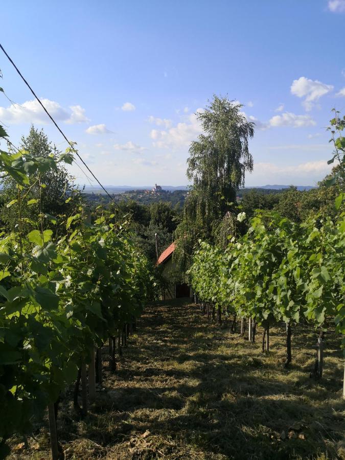 Vikendica Sirec Villa Ptujska Gora Eksteriør bilde